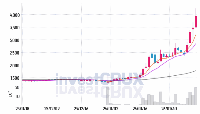 나무기술 주가 전망 핵심 자료, 오늘의 특징주 주가 차트 분석 2026.02.12