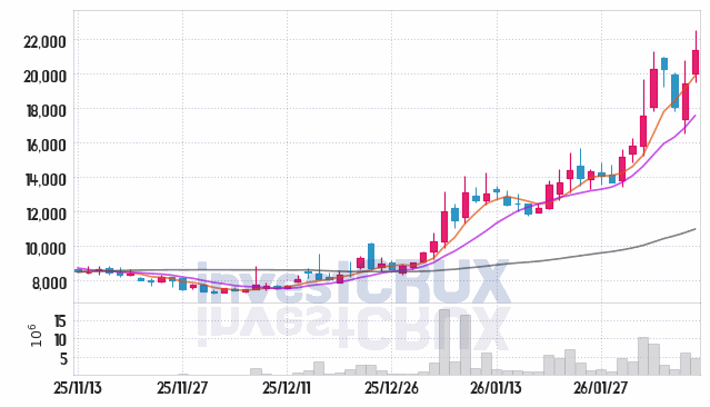 루미르 주가 전망 핵심 자료, 오늘의 특징주 주가 차트 분석 2026.02.09