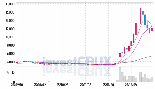 바이젠셀 주가 전망 핵심 자료, 오늘의 특징주 주가 차트 분석 2025.12.17