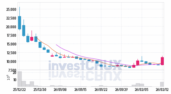 삼진식품 주가 전망 핵심 자료, 오늘의 특징주 주가 차트 분석 2026.02.12