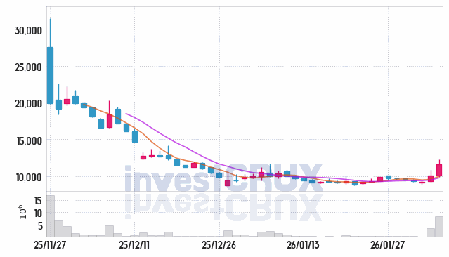 아로마티카 주가 전망 핵심 자료, 오늘의 특징주 주가 차트 분석 2026.02.04