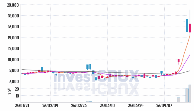 엑스게이트 주가 전망 핵심 자료, 오늘의 특징주 주가 차트 분석 2026.04.20