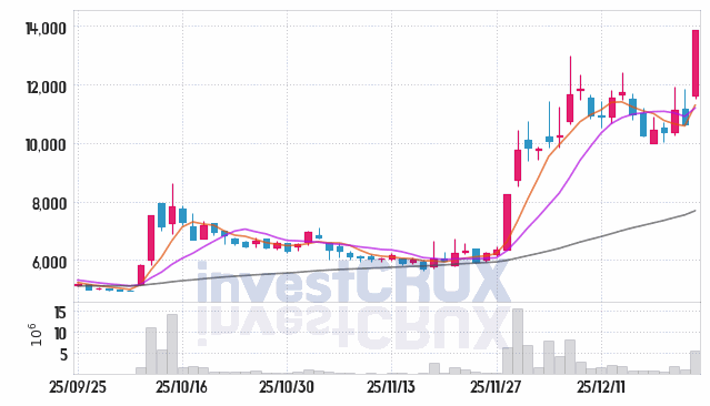 우림피티에스 주가 전망 핵심 자료, 오늘의 특징주 주가 차트 분석 2025.12.24