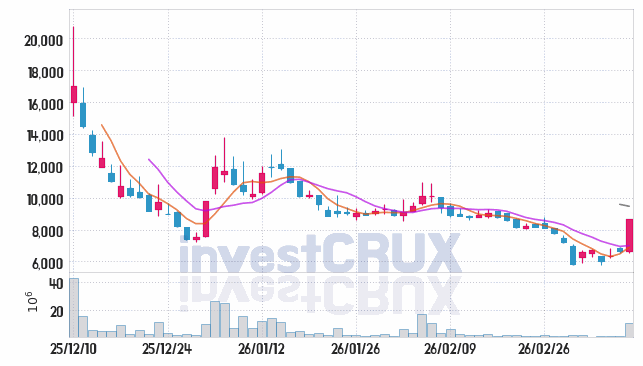 테라뷰 주가 전망 핵심 자료, 오늘의 특징주 주가 차트 분석 2026.03.12