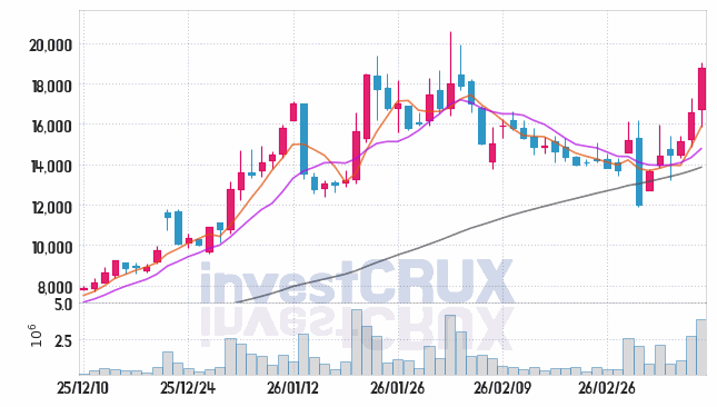 파이버프로 주가 전망 핵심 자료, 오늘의 특징주 주가 차트 분석 2026.03.12