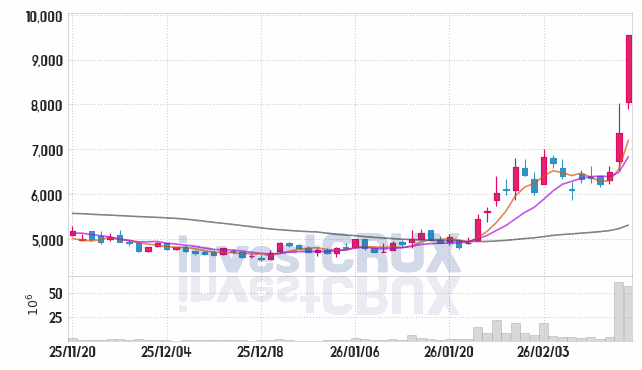 한화투자증권 주가 전망 핵심 자료, 오늘의 특징주 주가 차트 분석 2026.02.19