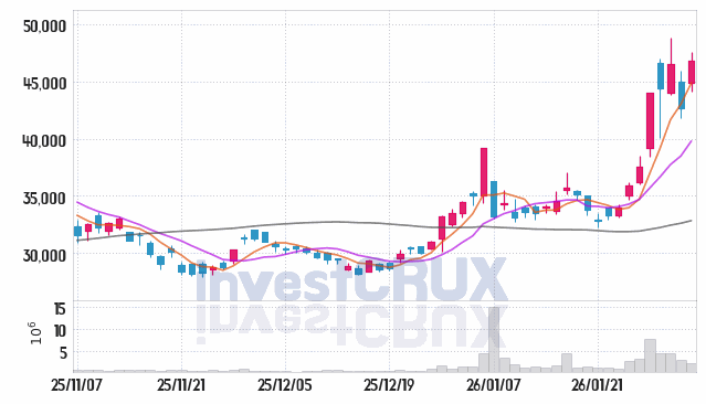 HPSP 주가 전망 핵심 자료, 오늘의 특징주 주가 차트 분석 2026.02.03
