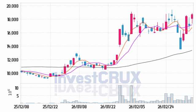 네오셈 주가 전망 핵심 자료, 오늘의 특징주 주가 차트 분석 2026.03.10