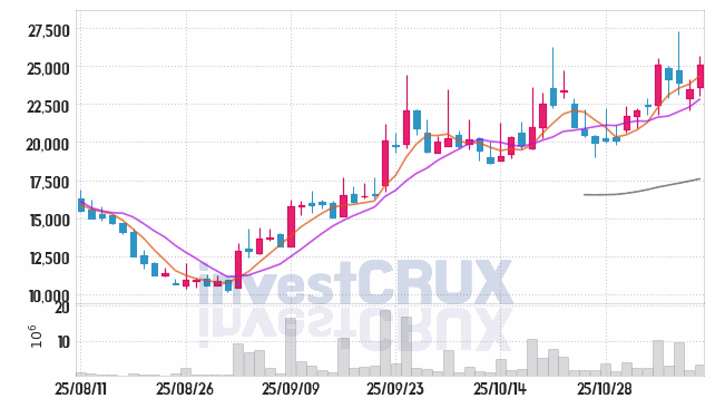 뉴로핏 (380550) 주가 차트 : 2025.11.10
