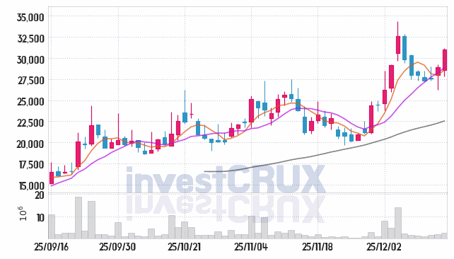 뉴로핏 주가 전망 핵심 자료, 오늘의 특징주 주가 차트 분석 2025.12.15