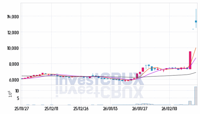 서울반도체 주가 전망 핵심 자료, 오늘의 특징주 주가 차트 분석 2026.02.26