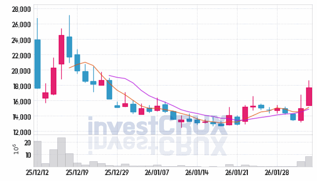 쿼드메디슨 주가 전망 핵심 자료, 오늘의 특징주 주가 차트 분석 2026.02.03
