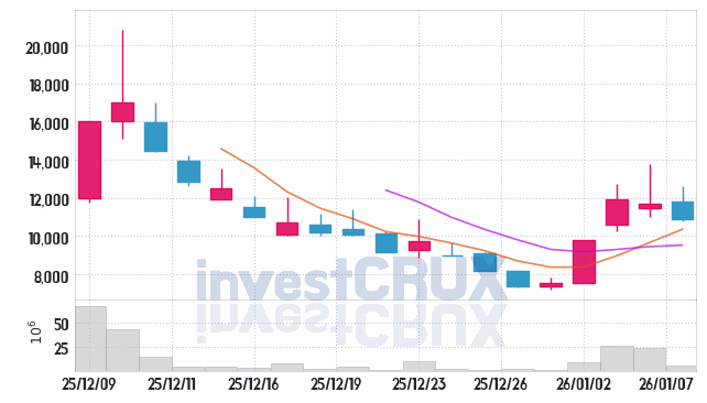 테라뷰 주가 전망 핵심 자료, 오늘의 특징주 주가 차트 분석 2026.01.07