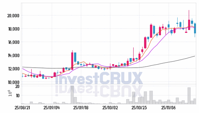 파미셀 (005690) 주가 차트 : 2025.11.19